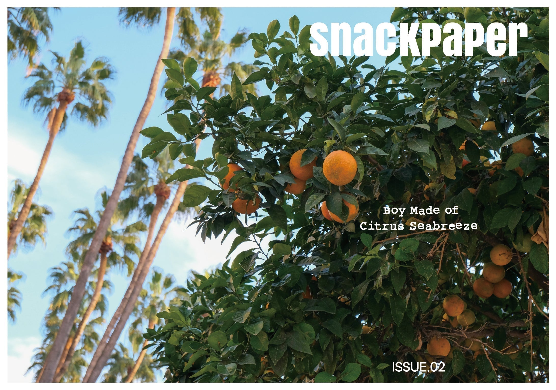 ISSUE.02: Boy Made of Citrus Seabreeze